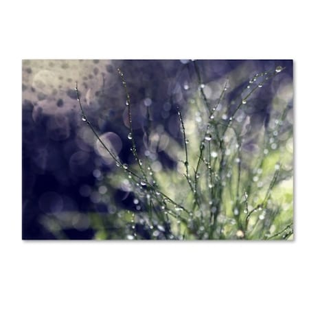 Trademark Fine Art Beata Czyzowska Young 'Secrets of Nature' Canvas Art, 30x47 BC0273-C3047GG